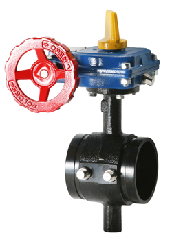 HPGT Ductile Grooved Tapped 300 PSI Butterfly Valves