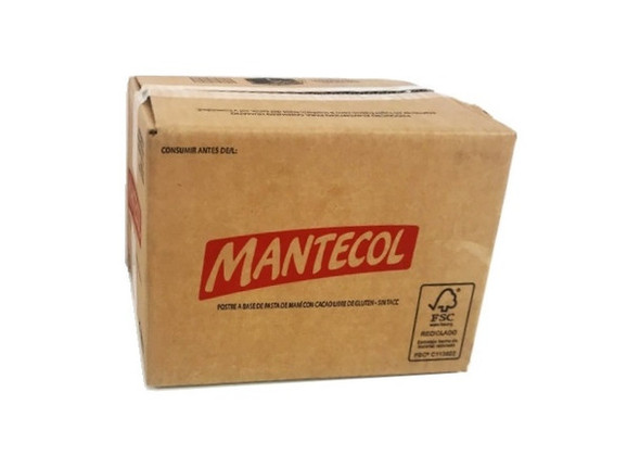 Mantecol Classic Flavor Semi-Soft Peanut Butter Nougat Wholesale Bulk Box, 253 g / 8.9 oz ea (36 count per box)