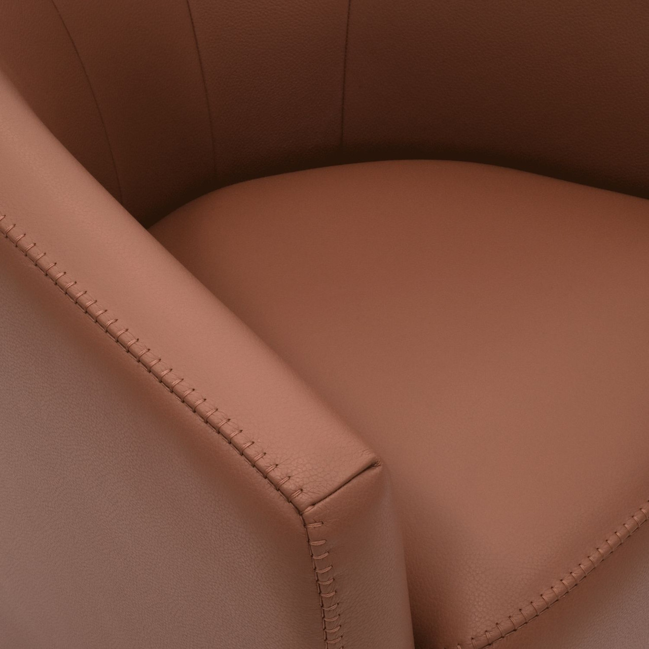 COGNAC LEATHER - Closeup