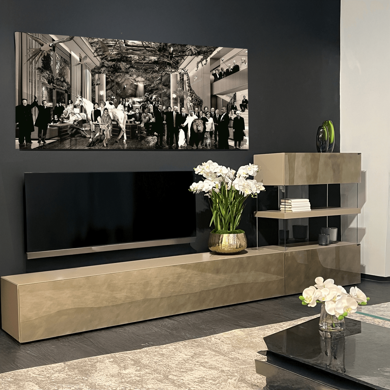 Air Wall/Entertainment Unit