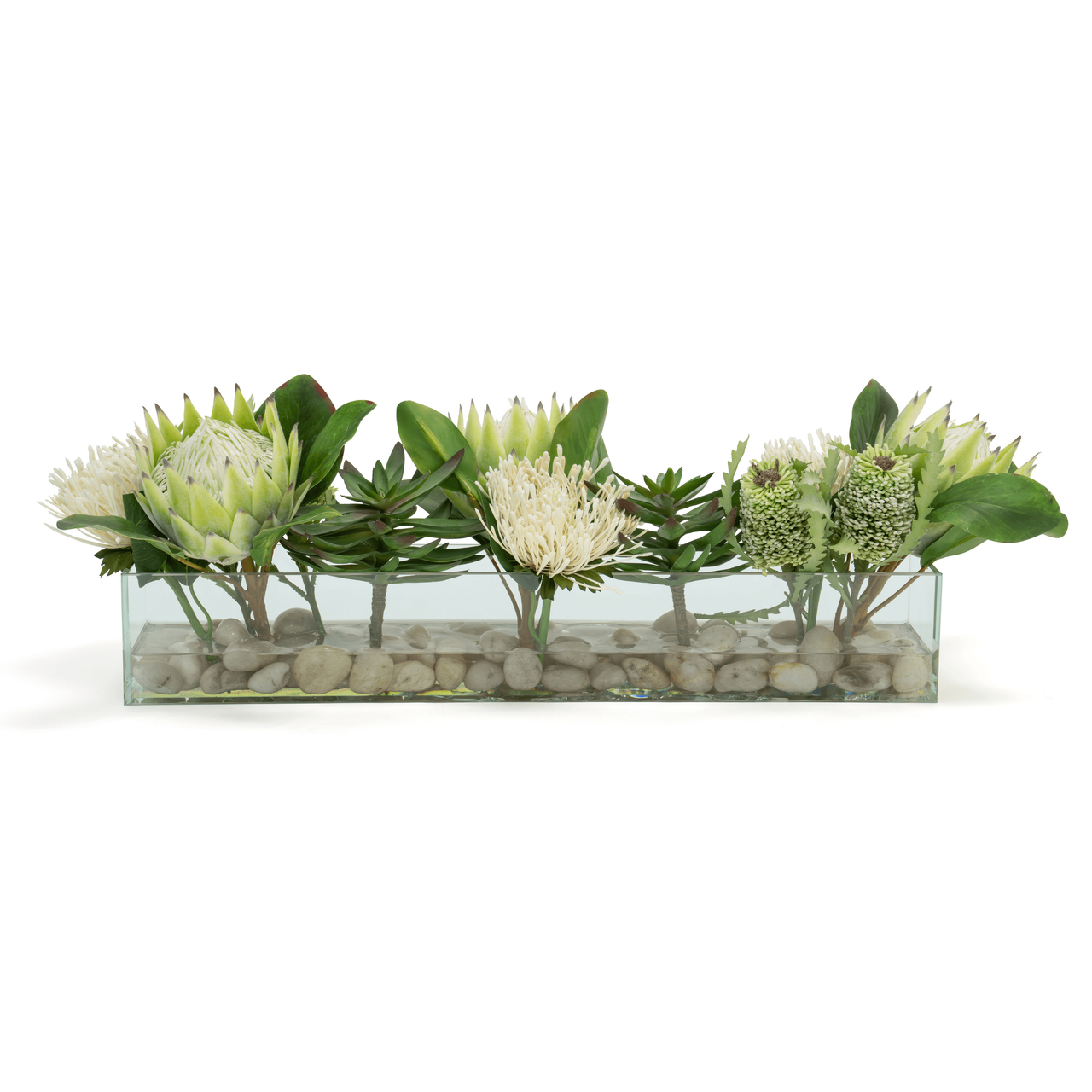 White Pin Protea Mix - Lg