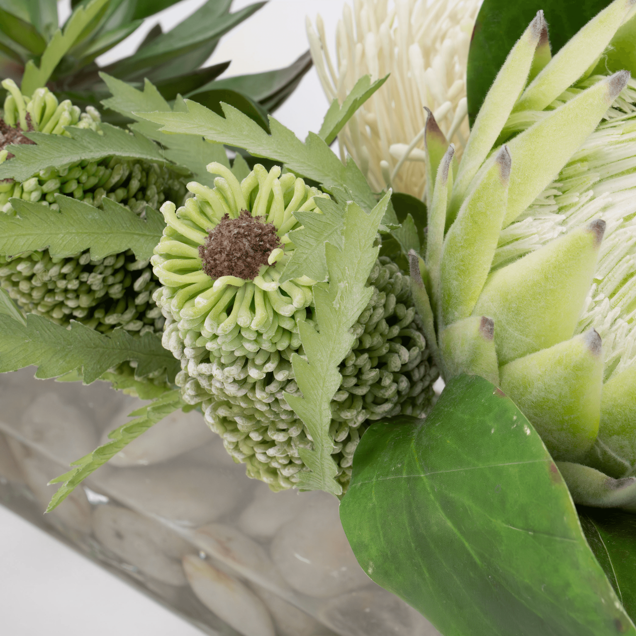 White Pin Protea Mix - Lg