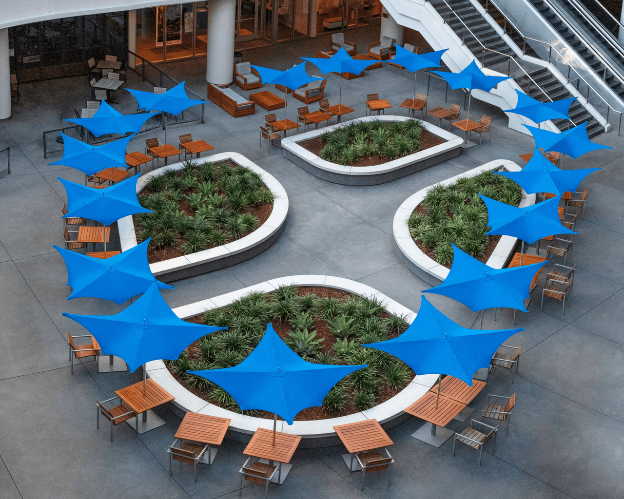 Ocean Master M1 Manta