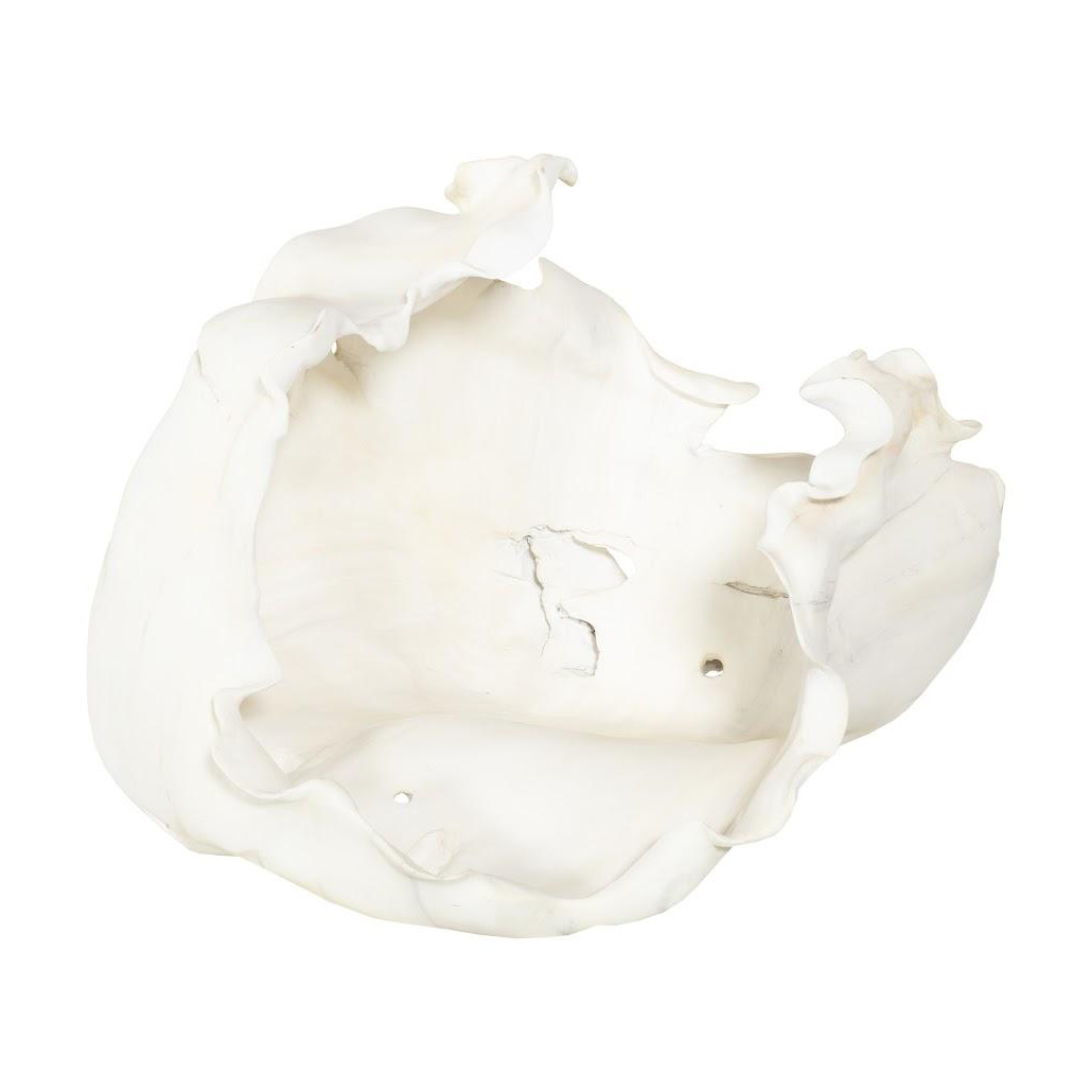 OPEN - Shown here in the Open option