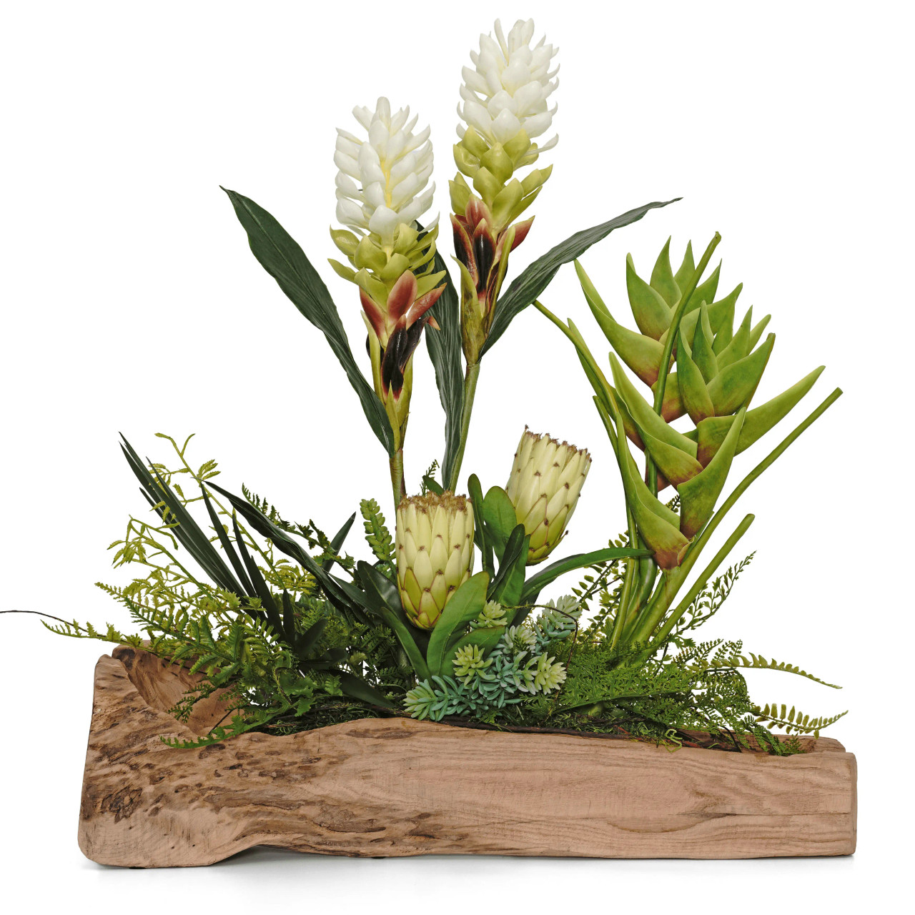 Tropical Succulent