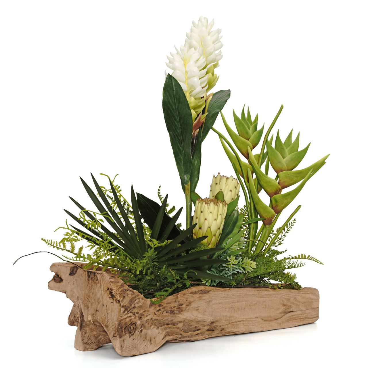 Tropical Succulent
