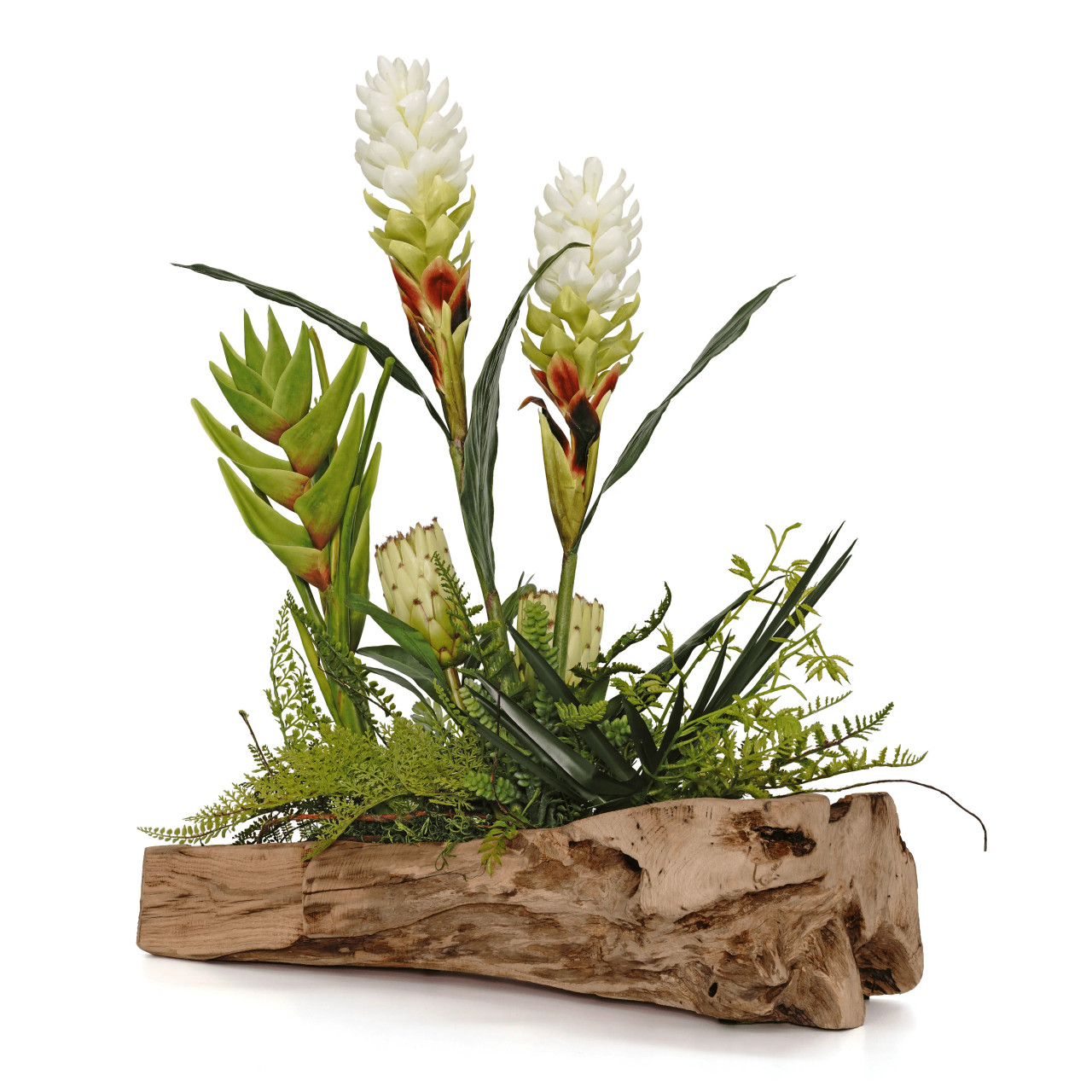 Tropical Succulent