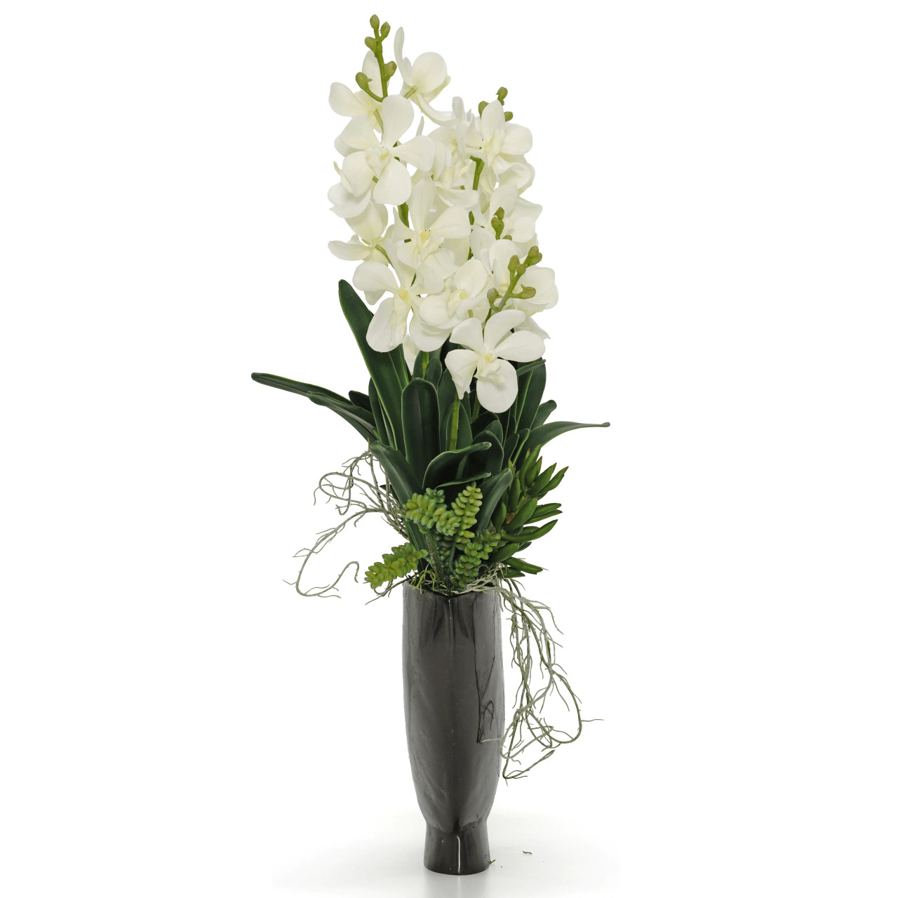 Orchid Vanda Mix