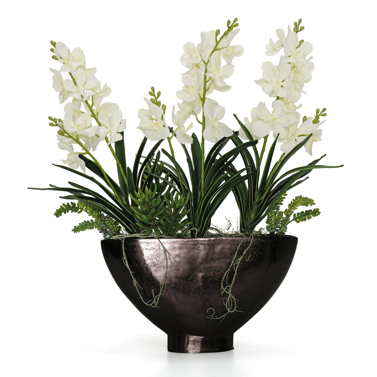 Orchid Vanda Mix