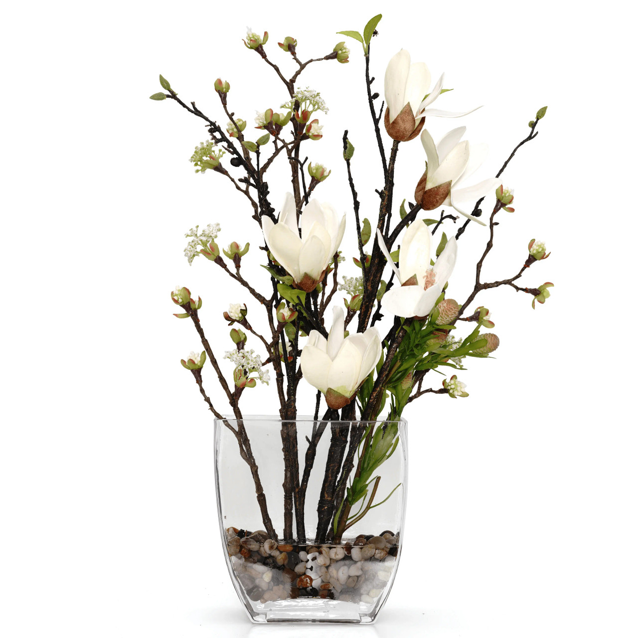 Magnolia/Bud Branch Fw