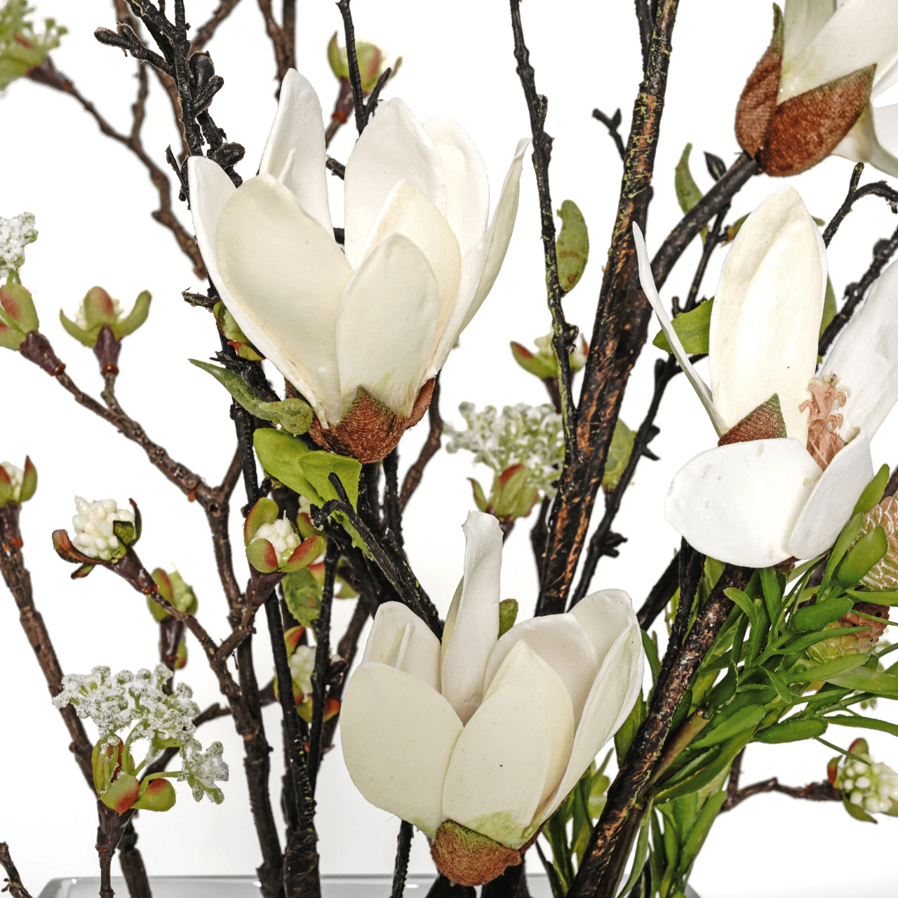 Magnolia/Bud Branch Fw