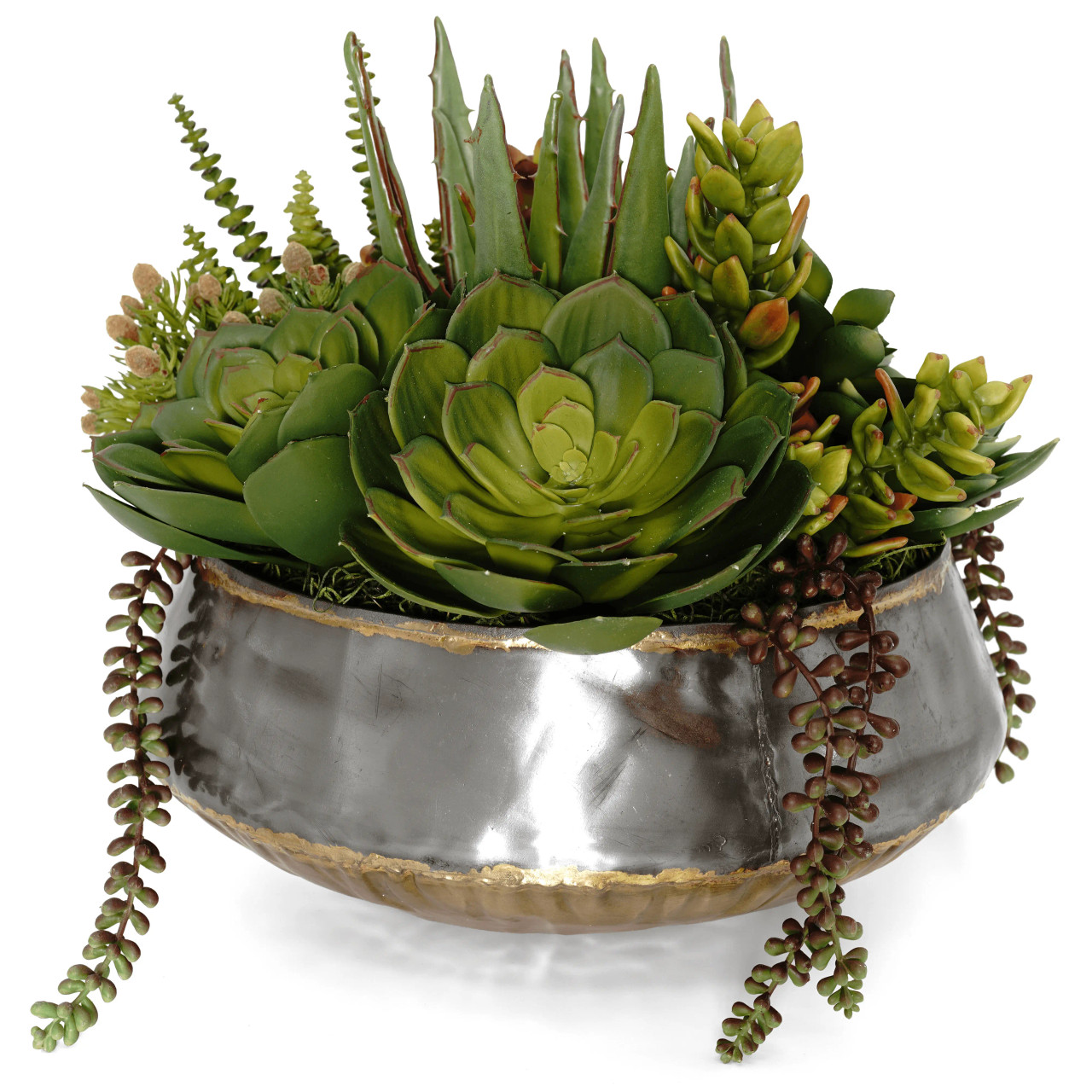 Succulent Mix