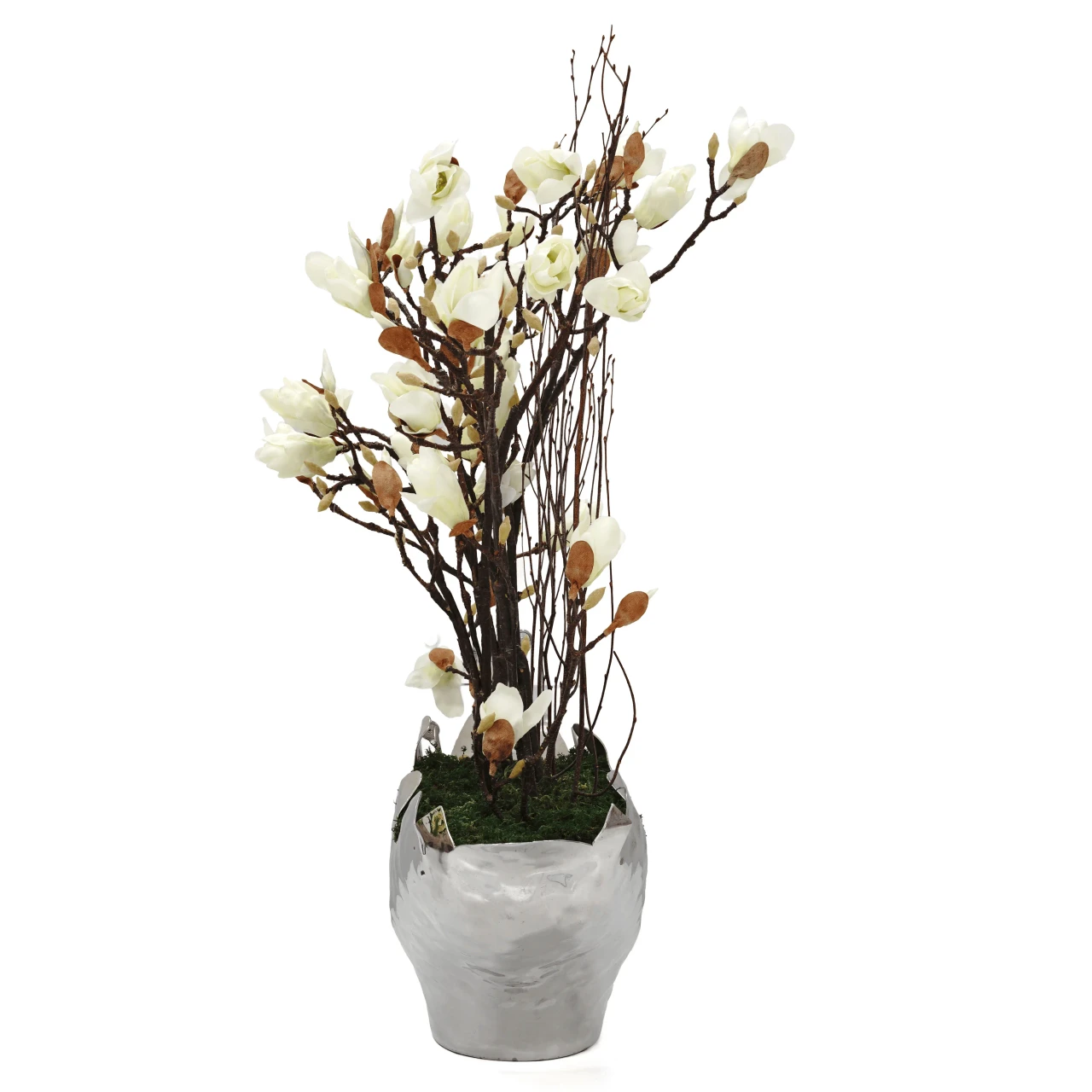 Morning Fog Magnolias