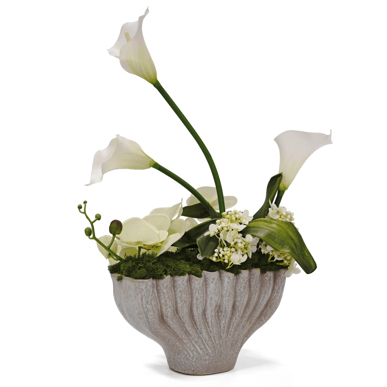 Garden Glam Orchids