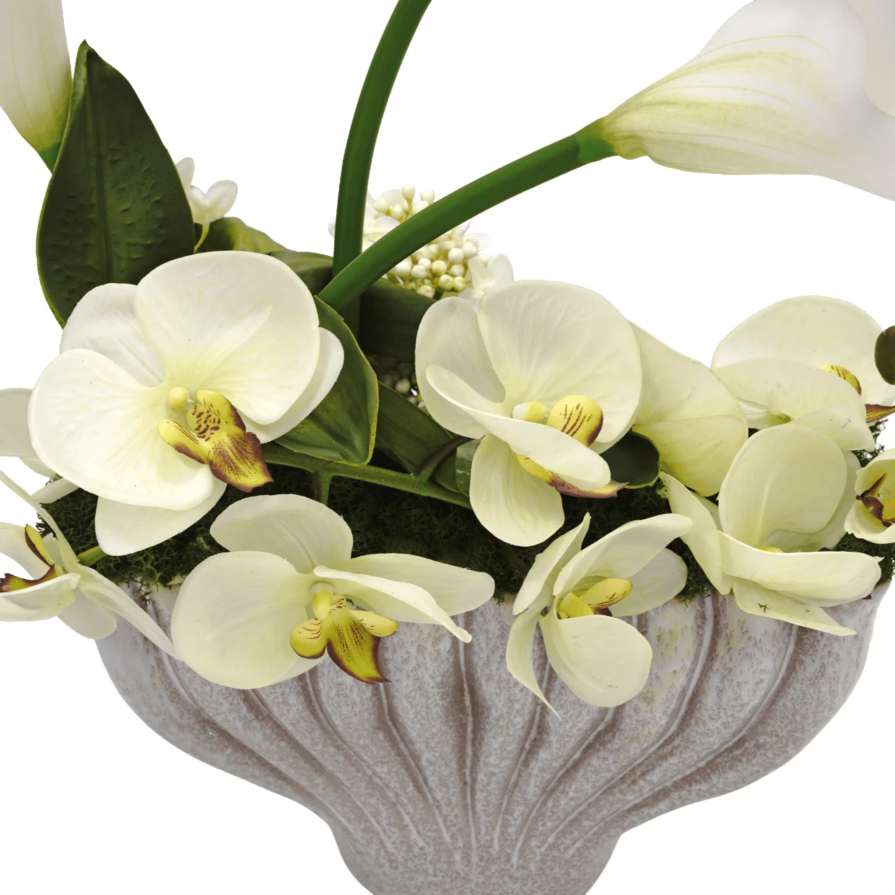 Garden Glam Orchids