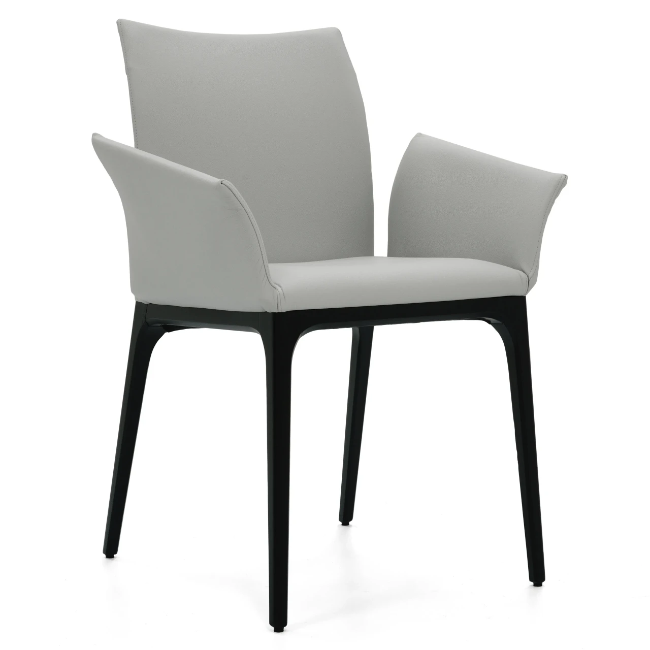 Arcadia Arm Chair - Black Leg