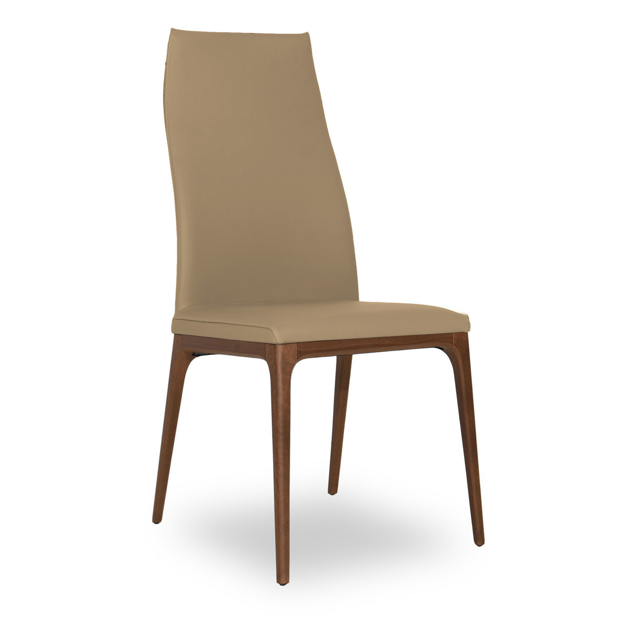 TORTORA || WALNUT