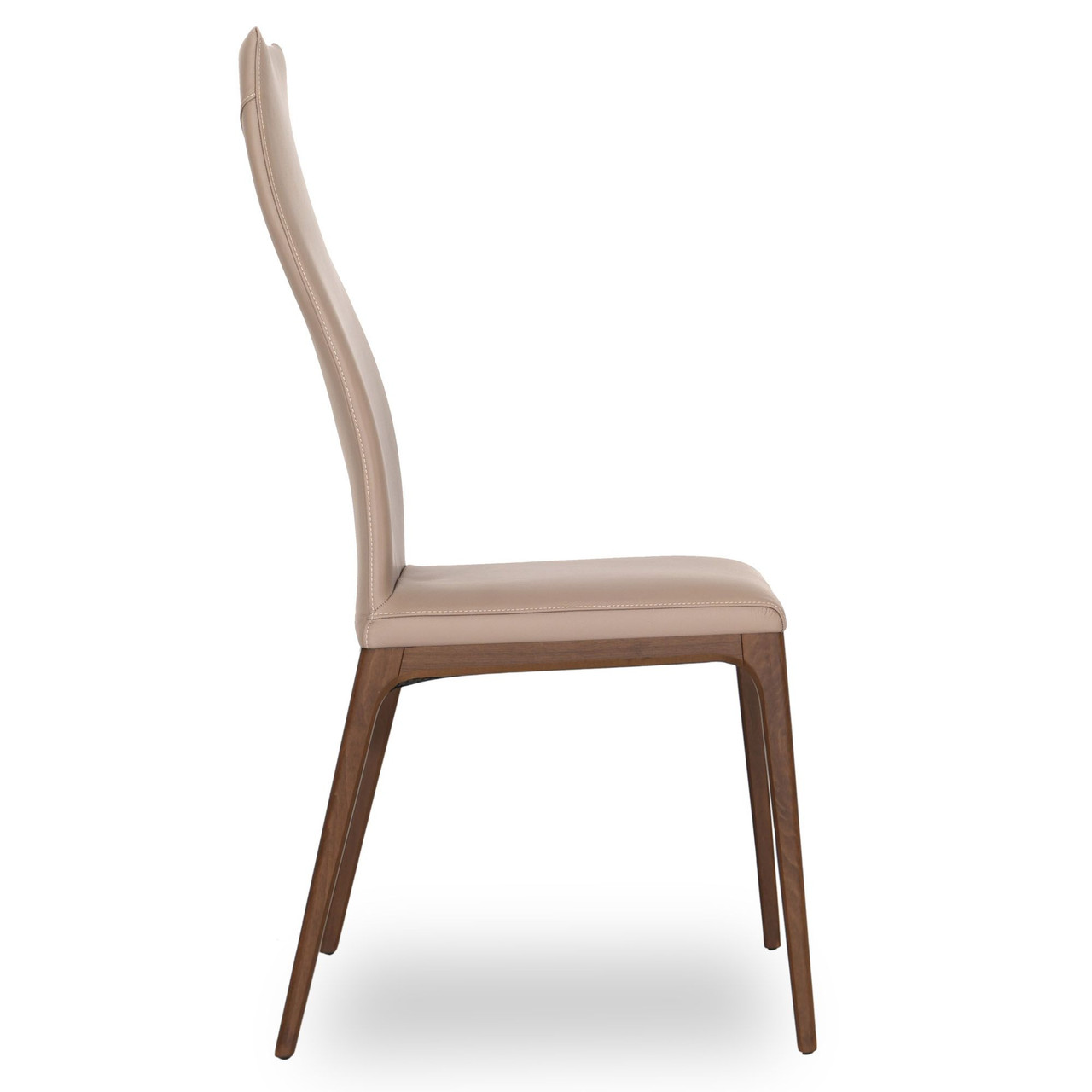 FANGO || WALNUT