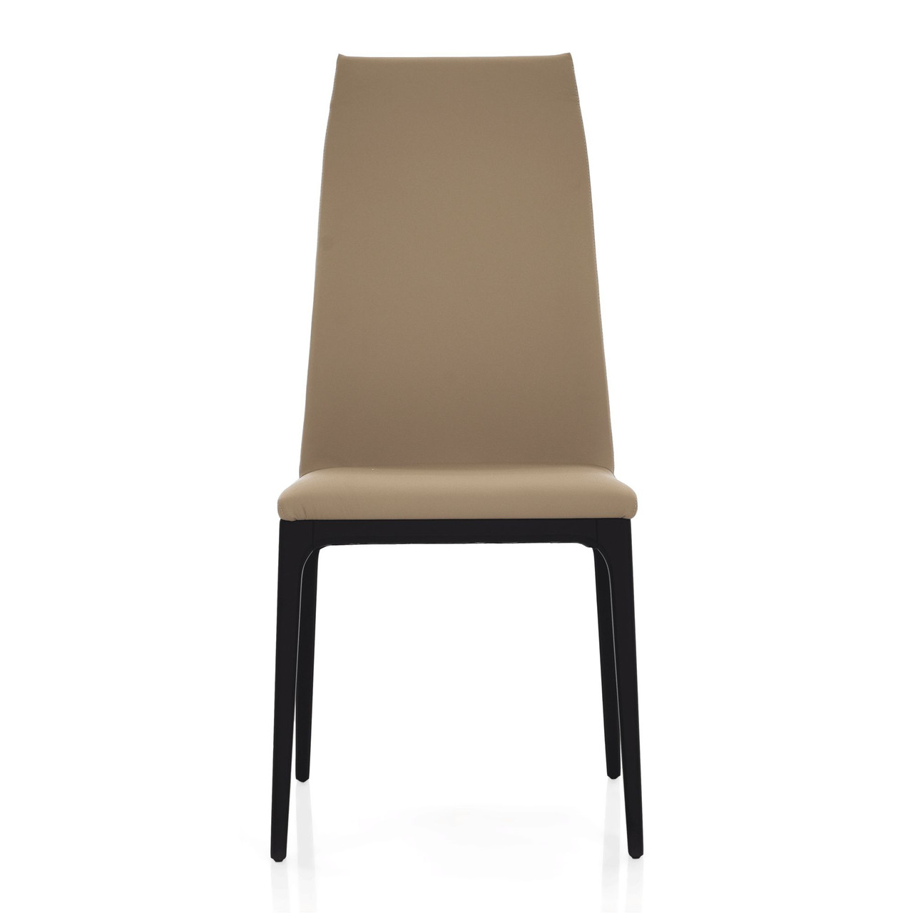 TORTORA || MATTE BLACK