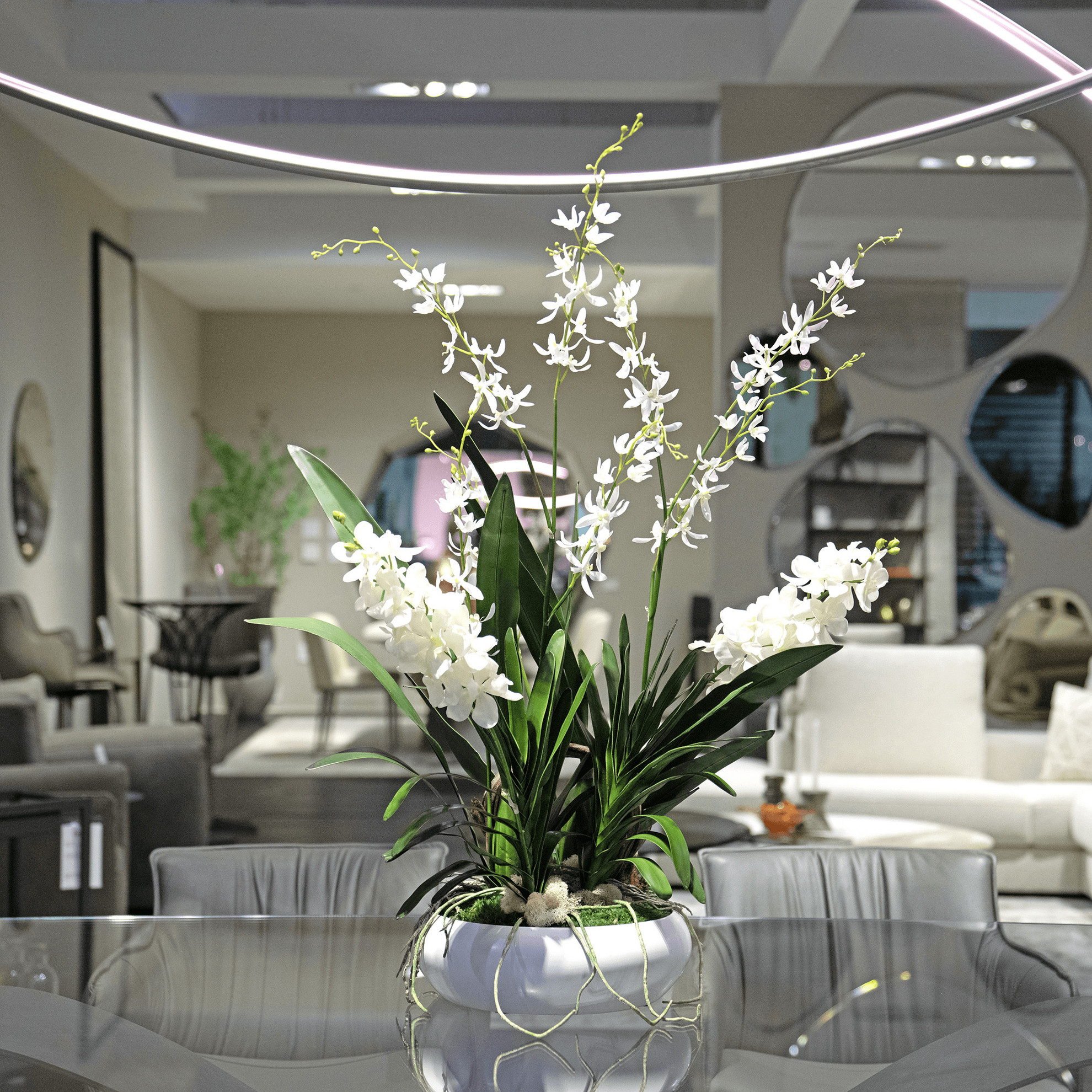 Porcelain Orchids - Cantoni