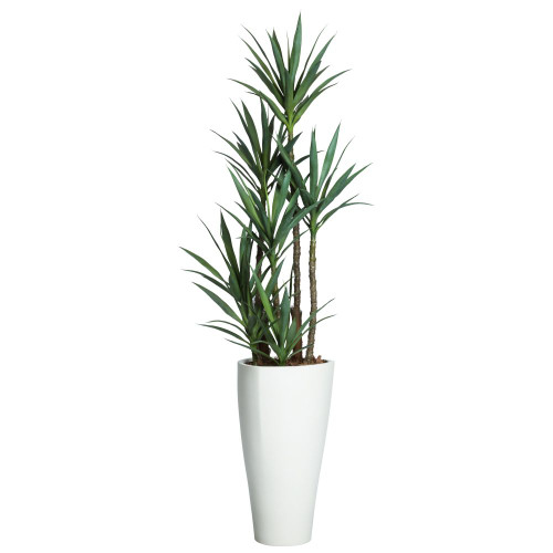 Deluxe Skinny Yucca I