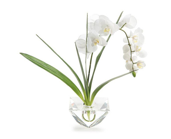 Orchid In Cut Crystal Vase