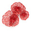 Coral Wall Art - Small