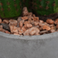 Closeup - Barrel Cacti Natural Rock Fill