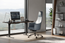 OCEAN - Bolo Office Chair Shown in an Office Setting