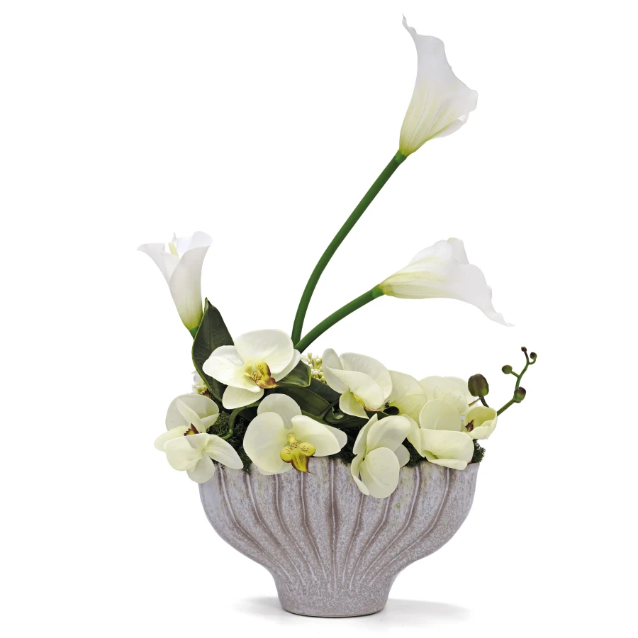 Garden Glam Orchids