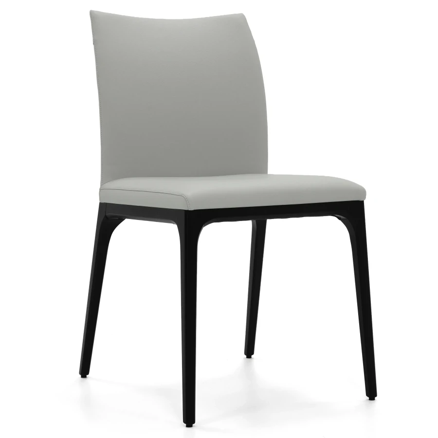 Arcadia Side Chair - Black Leg