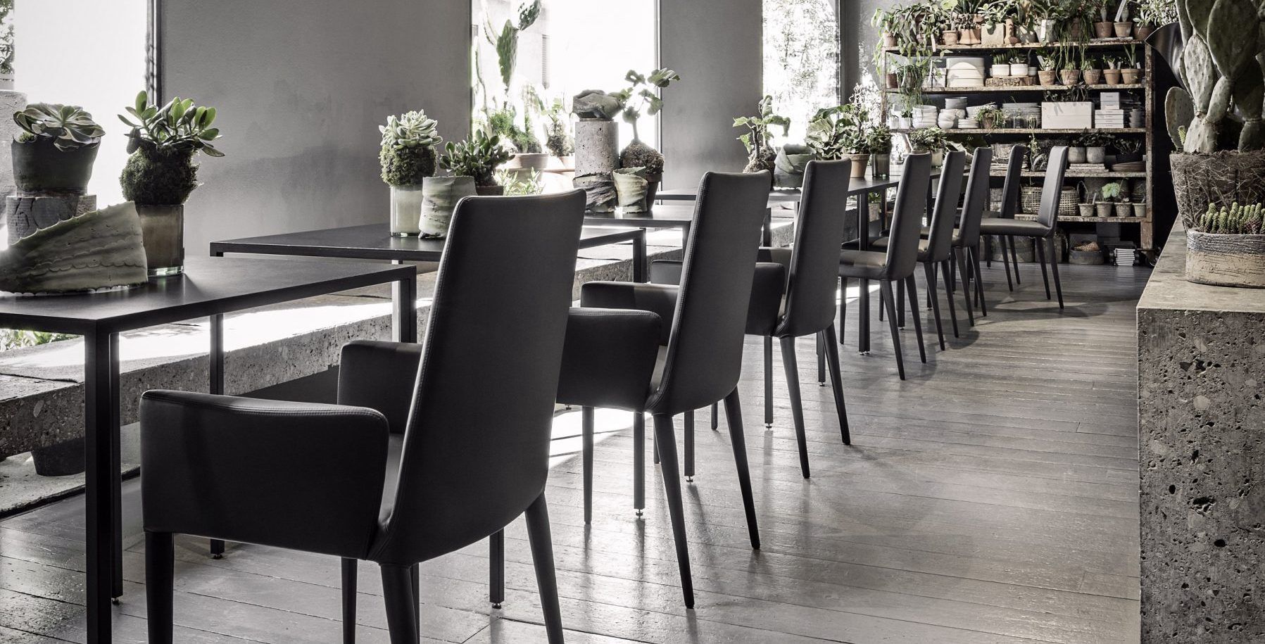 Frag Furniture & Chair | Cantoni