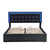 Queen Size Tufted Upholstered Platform Bed with Hydraulic Storage System,PU Storage Bed with LED Lights