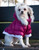 Metallic Fashion Pet Parka Coat