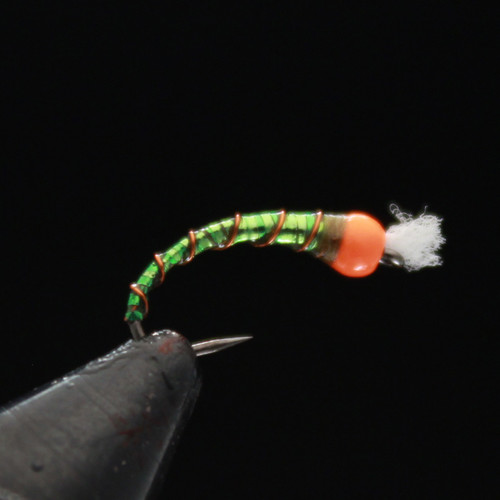 Pumpkinhead Pupa Pumpkinhead Pupa