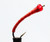Ruby Worms Ruby Worms