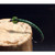 Emerald Worms Emerald Worms