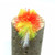 Tequila Booby (Package of 3 flies) Tequila Booby (Package of 3 flies)