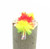 Bellini Booby (Package of 3 flies) Bellini Booby (Package of 3 flies)