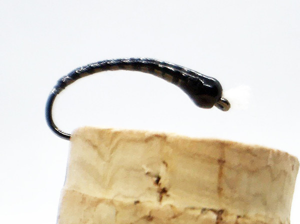 Back in Black Chironomid