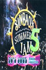 Sinbad's Summer Jam Soul Festival Vol 5 in St. Thomas 1999 on 2 DVDS Sinbad's Summer Jam Soul Festival Vol 5 in St. Thomas 1999 on 2 DVDS