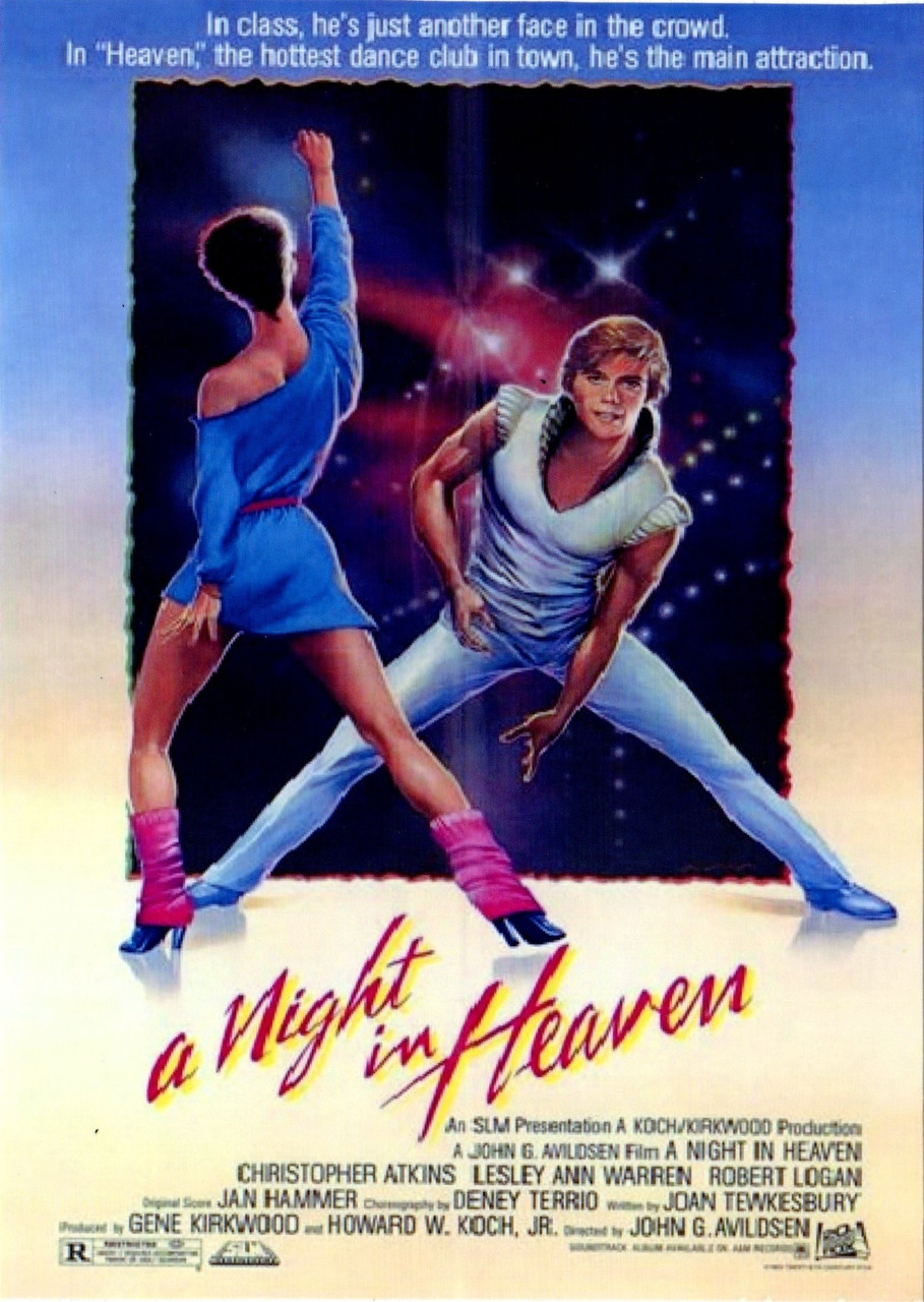 A Night in Heaven DVD starring Christopher Atkins & Lesley Ann