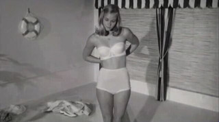 CELEBRITY NUDE REVUE: The Saucy 70's 3+ hrs. of famous and cult 1970's