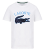 Lacoste T-Shirt Plush Logo Crocodile Tee in White