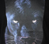 Hugo Mens T-Shirt Deetah Jaglion Graphic Tee in Black