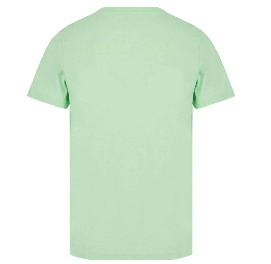 Psycho Bunny Mens T-Shirt Edge Graphic Tee in Icy Mint Green