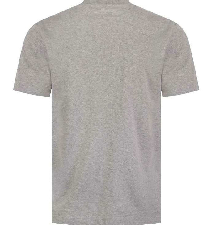 Replay Mens T-Shirt Distressed Lettering Tee in Grey