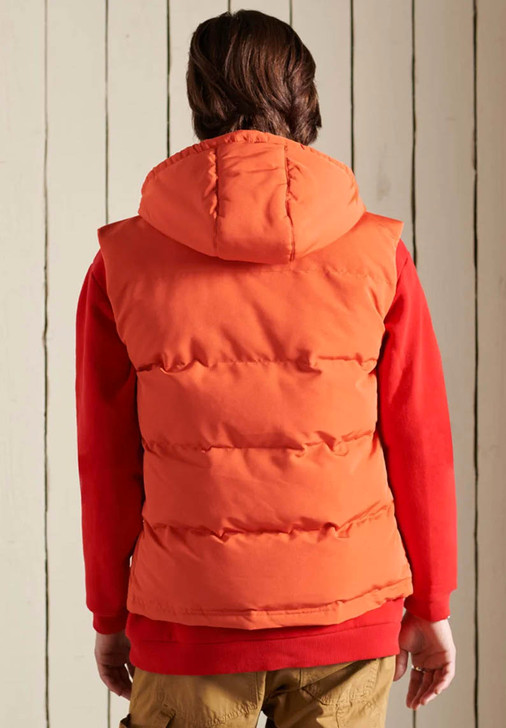 Superdry Mens Gilet Hooded Puffer in Bold Orange