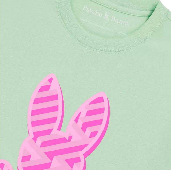 Psycho Bunny Mens T-Shirt Pisani Graphic Tee in Icy Mint