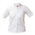  Ladies Oxford Blouse Short Sleeve